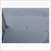 もうすぐ雪解けのはずが