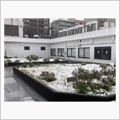 東京ではコレを警報級の大雪と ...