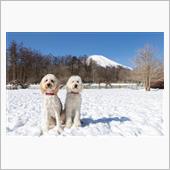 山梨のwoofでミニオフ会( ...