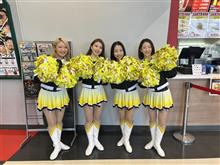 2025始動（No lo s&#233;!!）w阪神タイガース編