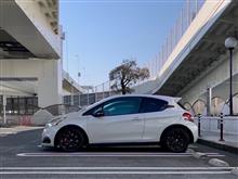 SHIBAURA &amp; TSUZUKI Regular Offline Meetings PLUS