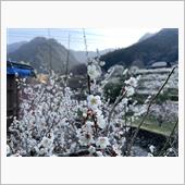 週末ライド