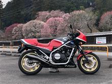 VFで開花状況偵察ぅ！