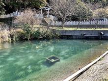 秘境の癒しポイント