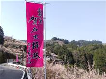 賀名生梅林