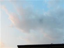 ３月２６日　強風が吹き荒れそうな水曜日、おはよ～♪
