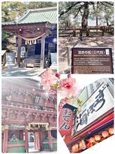 ３２３🔖静岡ぶらり旅...『1日目』...『９７』＆『９８』