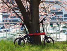 遂に箱替え、納車したよ。