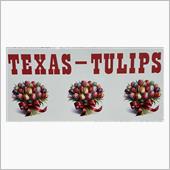  TEXAS- TULIPS
