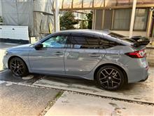 春の洗車男現る‼︎