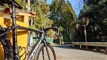 久しぶりの自転車、この日はEMONDA