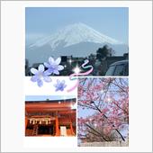 ３２５🔖静岡ぶらり旅…『3 ...