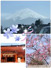 ３２５🔖静岡ぶらり旅…『3日目』…『１００』