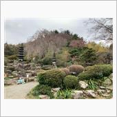 花見山
