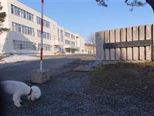 朝の散歩（2025年3月29日）