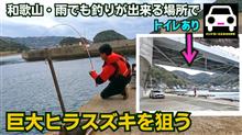 雨でも釣りが出来る場所で巨大ヒラスズキを狙う
