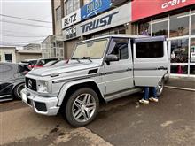 朝イチ まあちゃんのＧ６３！