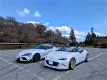 昨日は山で芝刈り⛳️、今日は山で車遊び🚗(*^▽^*)