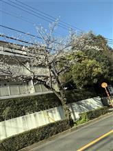 そろそろ...