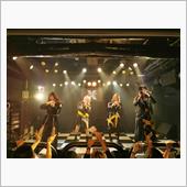 「THE BEGINNING ...