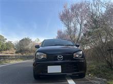 ジュリエッタからキャロルへ