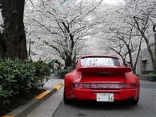 都内は一気に桜見頃へ（地図あり）