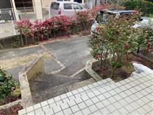 出撃致します(・∀・)ノ