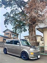「曇天のさくら 仰ぎてゆるむ息」