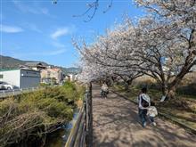 年度末の徘徊