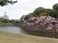 今年も行って来ました「皇居乾通り一般公開」!! 今年も行って来ました「皇居乾通り一般公開」!!
