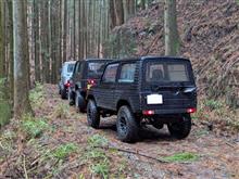 癒し系林道探索