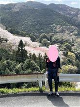 新城のマチュピチュ！？・・市川地区の桜　