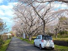 今日も朝から！