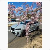 桜とコラボの為に