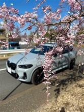 桜とコラボの為に