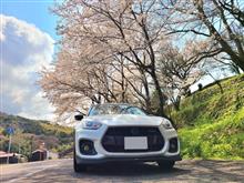 桜とスイスポ🌸🌸🌸