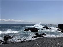 ブリブリのブリ