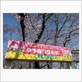 幸手権現堂公園にドライブ花見