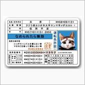 青の5年。（と、ダークサイド）