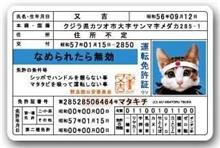 青の5年。（と、ダークサイド）