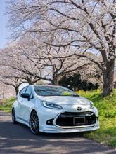 桜と愛車