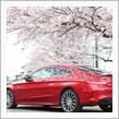 桜とC Class Coupe