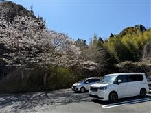 納車しました！