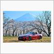 桜ドライブ2025第一弾 富士宮・富士川・笛吹