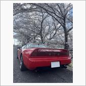 京都の🌸桜満開