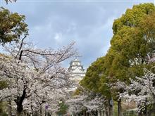 ちょっとそこまで　2025桜巡り