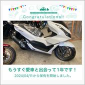 愛車と出会って1年！