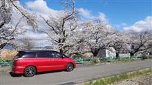 桜の花見とETC障害 桜の花見とETC障害