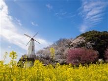 春到来