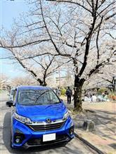 桜と子供の成長